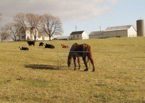 usda not for commercial farms
